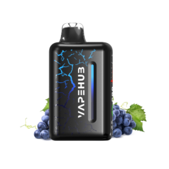 BLUEBERRY BLAST STORM – VAPEHUB ULTRA 20000
